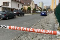 Zemřel při policejním zásahu! Agresor se v Plzni dobýval k příbuzným, pak zkolaboval