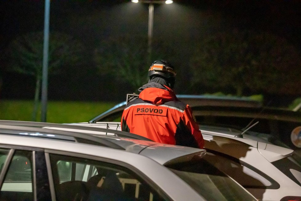 Policie pátrala po Nine H. a Janu P., rozjela se velká pátrací akce v Prokopském údolí. Pohřešovanou dvojici hledalo asi 20 psovodů z celé ČR a na místě byli kriminalisté z oddělení vražd.