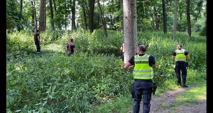 Za půl dne šest ztracených: Sebevrazi, schovaný feťák i seniorka zachraňující psa