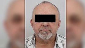 Diabetik Miloš (73) z Plzně zmizel: Neměl u sebe léky, všimli si ho lidé na severu Plzeňska