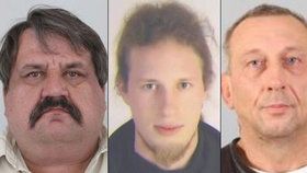 Policie pátrá po těchto mužích, kteří nenastoupili do výkonu trestu. Jedná se o Zdeňka Fridricha, Lukáše Bartalose a Václava Nováka (zleva).