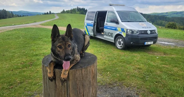 Policejní pes Suno
