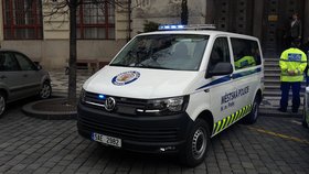 Pražská městská policie v roce 2015 řešila 1,1 milionu přestupků