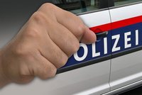 Policie v Rakousku zatkla Čecha! Při zásahu zranil strážce zákona