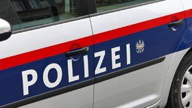 Český lékař a sestra kradli zboží od rakouských zemědělců. Policie je vyšetřuje na svobodě. (Ilustrační foto)