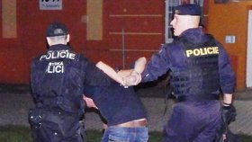 Na malou školačku sexuálně zaútočil muž z Budějovic: Policie hledá další oběti (ilustrační foto)