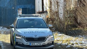 Vražda ženy ve Sviněticích u Bavorova. Pachatel jí měl uříznout hlavu.