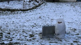 Vražda ženy ve Sviněticích u Bavorova.
