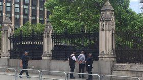 Policie zadržela člověka s nožem, který byl před budovou britského parlamentu.