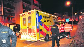 Šromova ulice, čtvrtek 23:15 hodin:  Roztržka mezi synem a otcem v místním azylovém domě skončila zraněním mladíka. Záchranka mladíka odvezla do nemocnice.