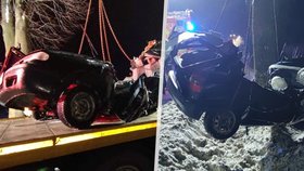 Auto na Jihlavsku narazilo do stromu: Řidič neměl šanci přežít