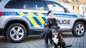 Policisté z Přerova hledají nový domov černým psům z tamního útulku. Policistka Denisa s fenkou Lenou.