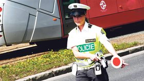 Středočeská policie má v plánu rozjet velkou kontrolní akci mezi řidiči.