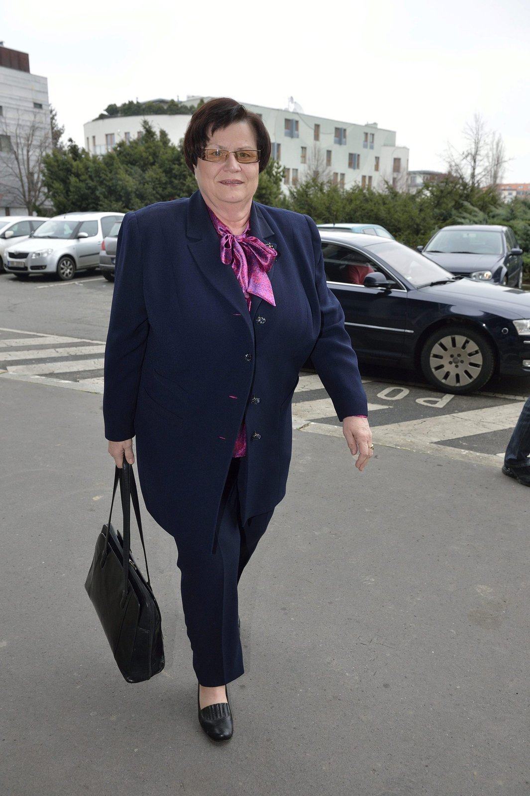 Advokátka Marie Benešová (69, ČSSD)