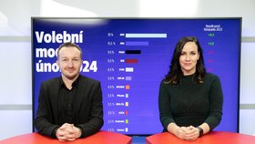 Politolog Školník v Epicentru na Blesk.cz (12.2.2024)