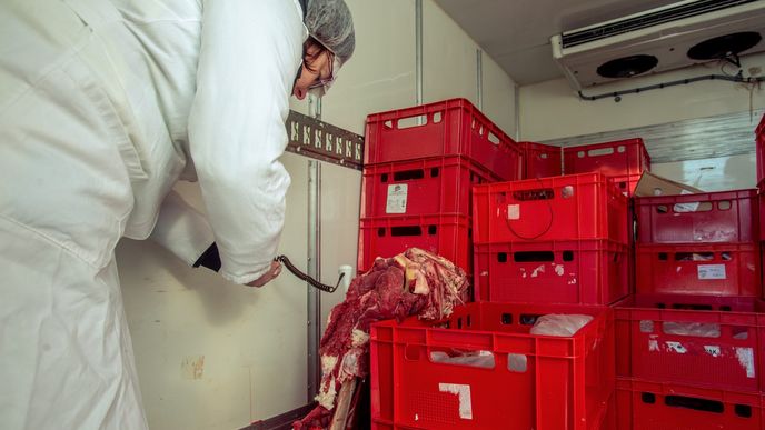 Celníci kontrolují maso dovážené z Polska