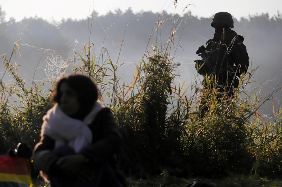 Migranti na hranici mezi Polskem a Běloruskem živoří v děsivých podmínkách.