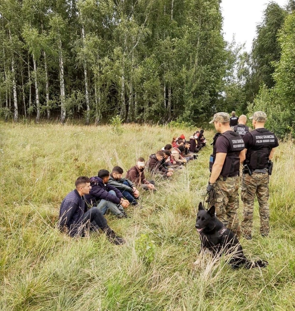 Migranti na hranici mezi Polskem a Běloruskem živoří v děsivých podmínkách.