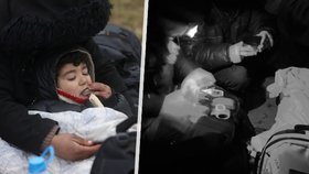 Syrským lékařům v lese u bělorusko-polských hranic zemřelo roční dítě. Sami byli těžce zranění