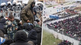 Chaos na hranicích Běloruska s Polskem: Polská policie migrantům brání ve vstupu, Bělorusko jim brání v návratu.