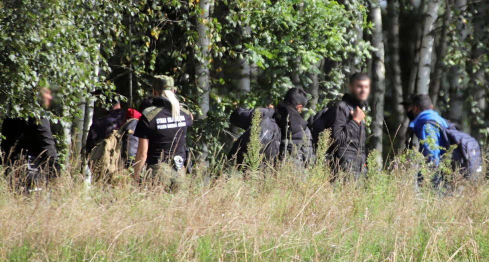 Migrační krize na polsko-běloruských hranicích