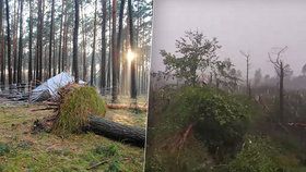 V táboře, kudy se prohnala ničivá bouře, zemřely v zavaleném stanu dvě skautky. Spadl na ně strom. Vpravo situace v okolí obce Suszek, nedaleko níž se tábor nacházel.