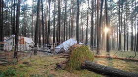 Popadané stromy v okolí tábora nedaleko obce Suszek, kde po pádu jednoho z nich zemřely ve stanu dvě skautky.