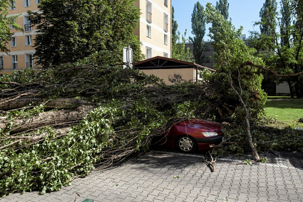 Stromy padaly také na auta v hlavním městě Varšavě. Výsledek ničivých bouří, které se prohnaly Polskem.
