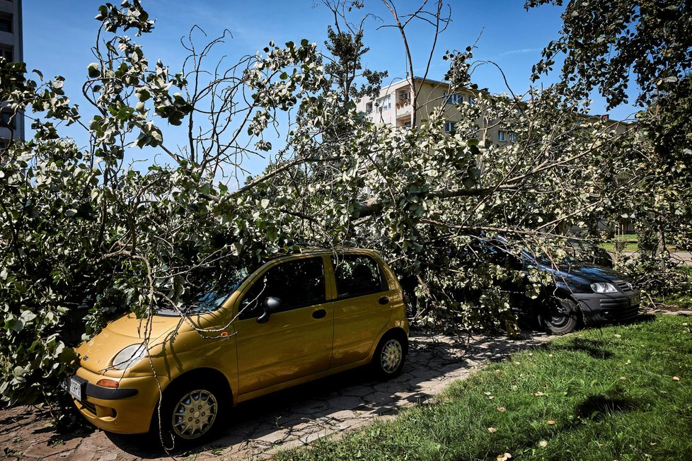 Podobně dopadla také auta v Lodži. Městě, které je od obce Suszek vzdáleno na 300 km.