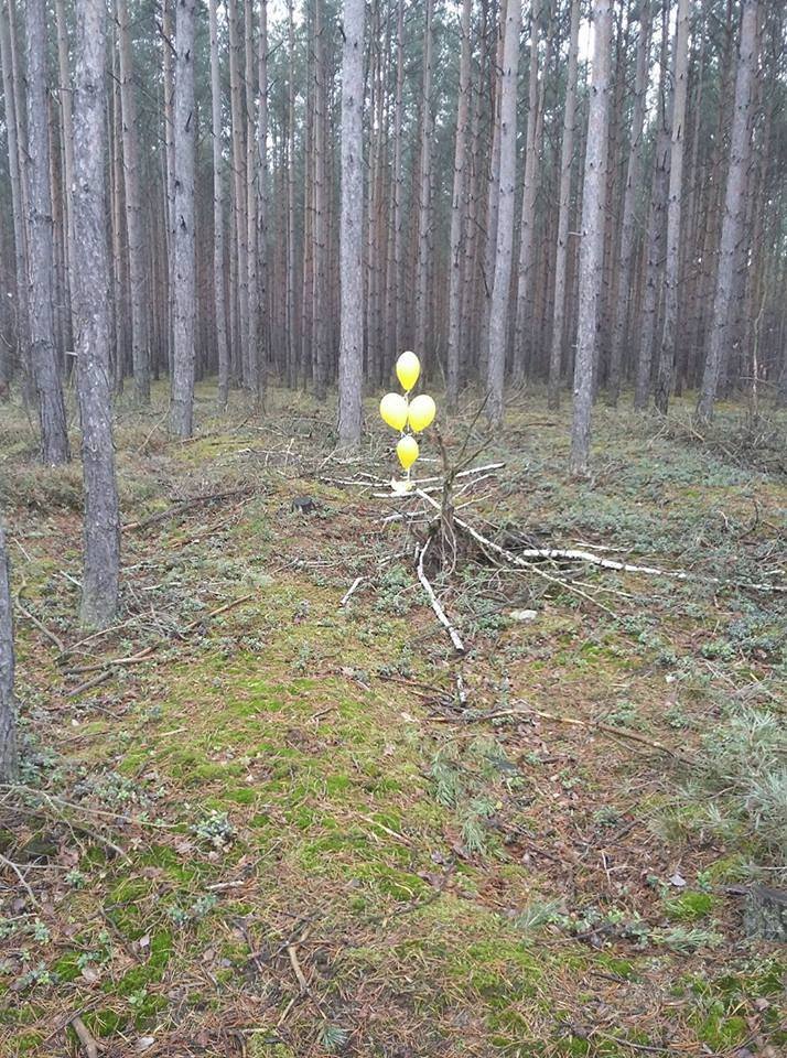 Balonky se nedaly přehlédnout ani v lese.