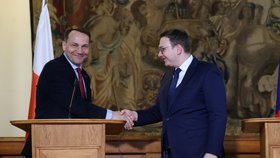 Polsko Putinovi k vítězství gratulovat nebude, řekl po setkání s Lipavským jeho polský protějšek Sikorski