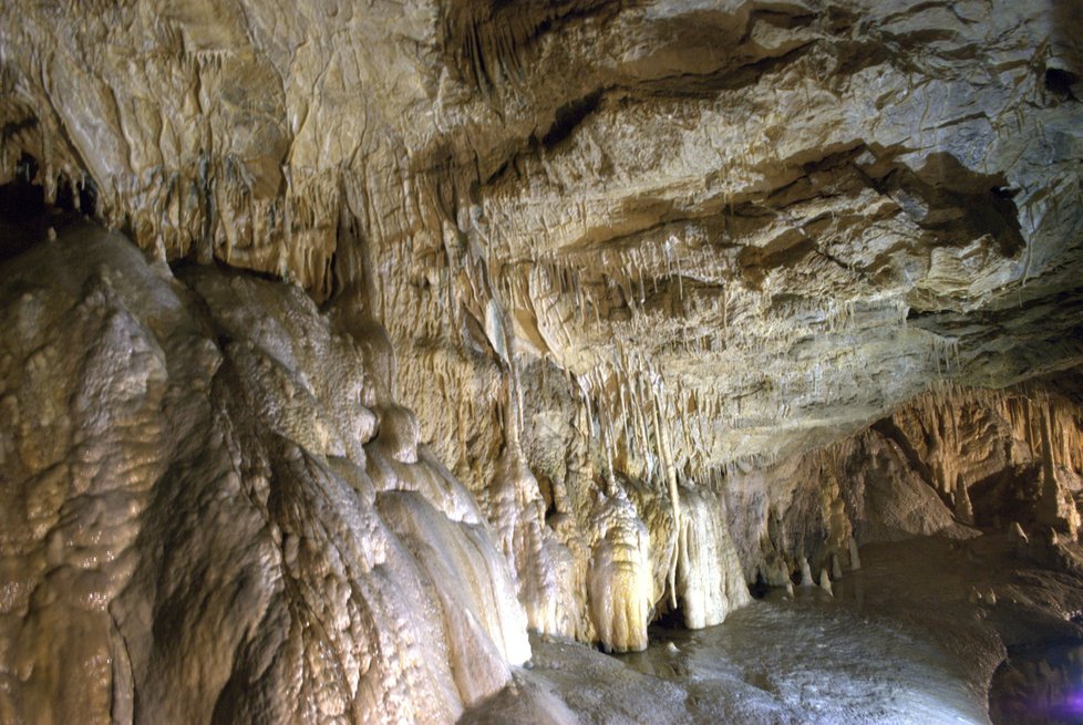 Místo medvědů, lvů a hyen se tu dnes prohání jen netopýři, průvodci a turisté.