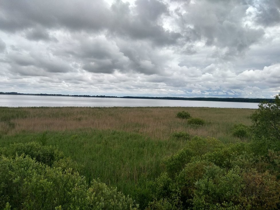 Výhled z dřevěné věže na ornitologickou oblast