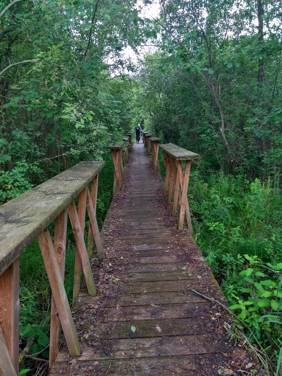 Stezky pro pěší i cyklisty