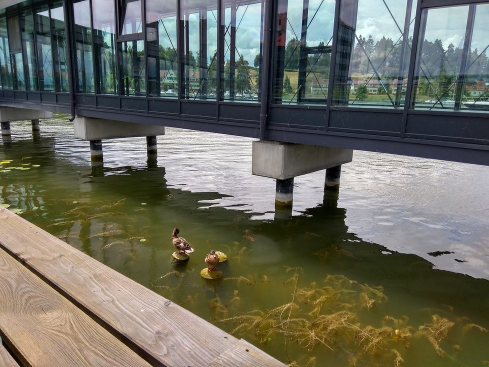 Hotel Mikojaki leží přímo na jezeře