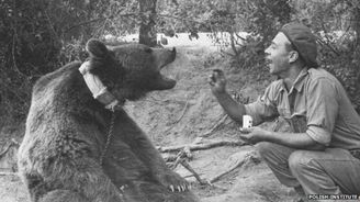 Desátník Wojtek: Medvěd, který miloval pivo a stal se polským válečným hrdinou