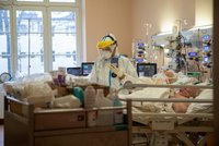 Polsko přijme české pacienty ve vážném stavu. „Čekáme na signál,“ vzkazuje náměstek