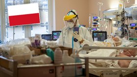 Polské nemocnice se starají o doposud nejvíce pacientů hospitalizovaných s covidem