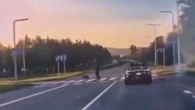 Muž přes přechod šel se svým psem.
