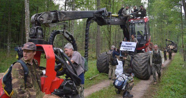 Polsko kácí tisíciletý chráněný prales. Porušuje zákon, rozhodli soudci EU