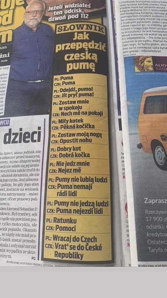 Polský tisk učí Poláky česky - kvůli pumě