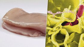 Veterináři objevili tuny zkaženého kuřecího masa. Obsahovalo salmonelu. (ilustrační foto)