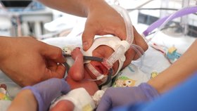 Polská šesterčata musela po narození strávit téměř 4 měsíce v nemocnici.