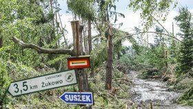 Bouře v Polsku porazila obří strom na tábor, dvě skautky zemřely.