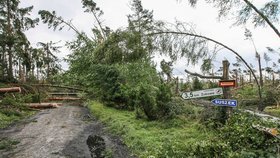 Bouře v Polsku porazila obří strom na tábor, dvě skautky zemřely.