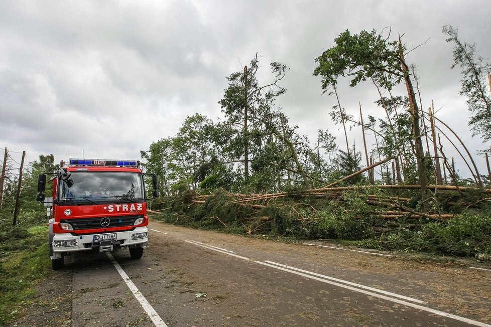 Před několika dny bouře v Polsku porazila obří strom na tábor, dvě skautky zemřely.