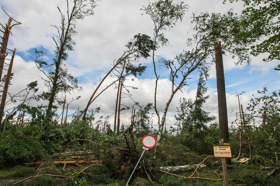 Před několika dny bouře v Polsku porazila obří strom na tábor, dvě skautky zemřely.