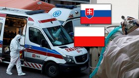 Polsko poskytne pomoc slovenským pacientům s covidem, o pomoci Česku teprve jedná