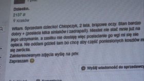 Dvaadvacetiletá matka z polského městečka Sucha Beskidzka chtěla prodat syna přes internet.
