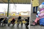 Na hranicích s Polskem mrznou stovky matek s dětmi. Dlouhé dny a noci čekají na volné místo v autobuse.